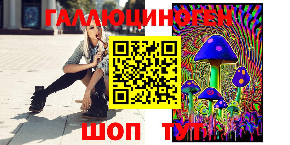 Тимашёвск  наркотики  Вход с VPN  Псилоцибиновые грибы GOLDEN TEACHER 
